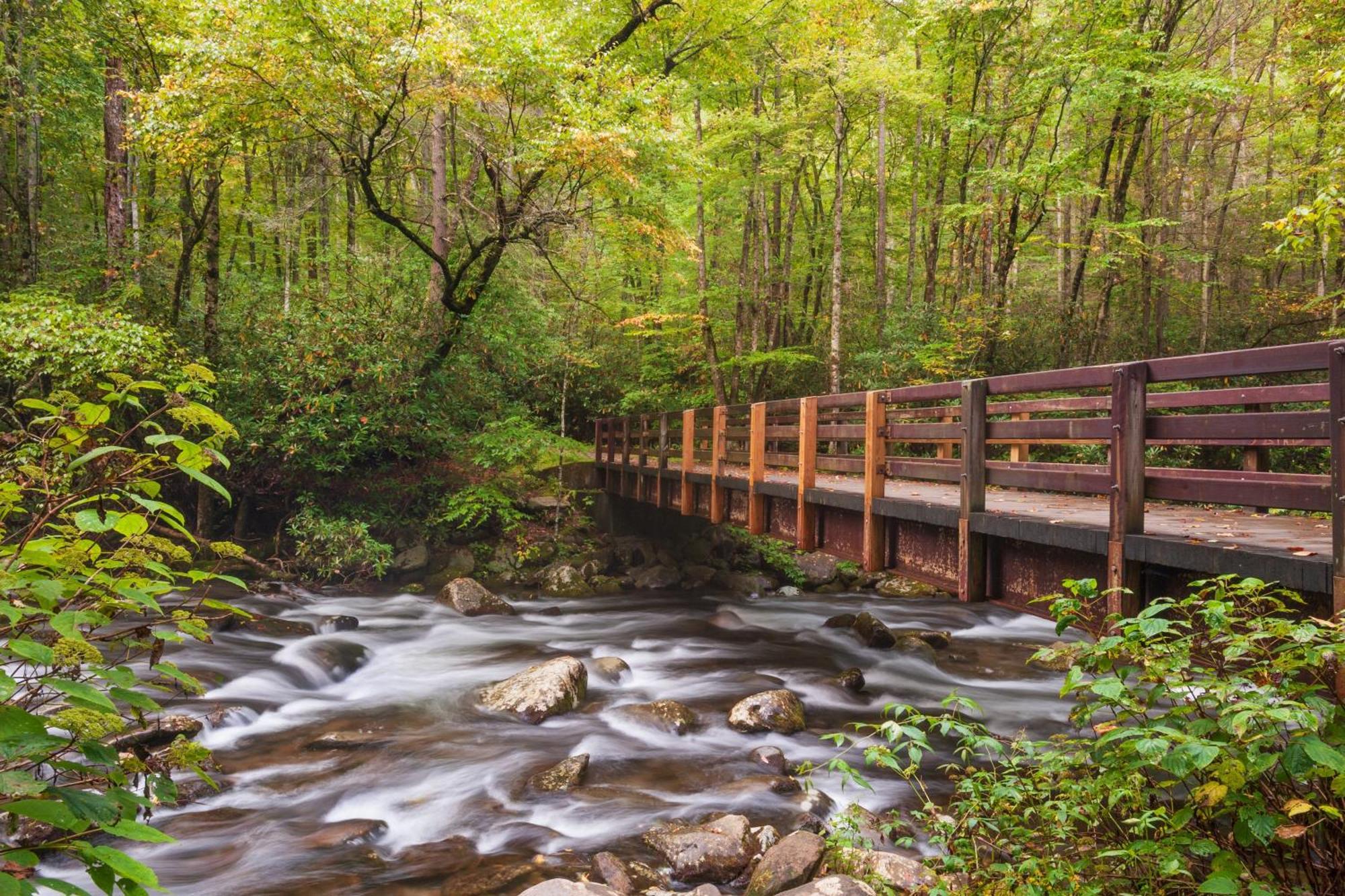 Forever Yours, Hot Tub, 1089 Of Free Attraction Tickets For Each Paid Day, Dollywood And More Pigeon Forge Luaran gambar